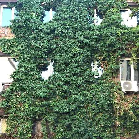 Center Dream House Apartman Szófia